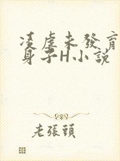 凌虐未发育的小身子H小说