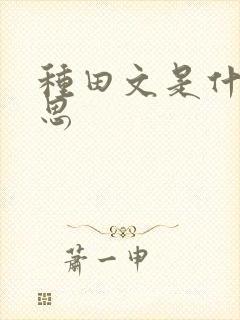 种田文是什么意思