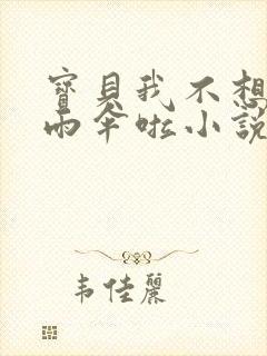 宝贝我不想带小雨伞啦小说