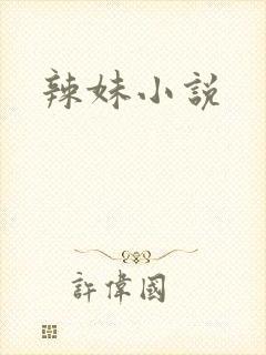 辣妹小说