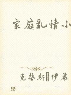 家庭乱情小说