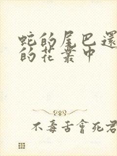 蛇的尾巴还在我的花丛中