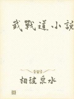 武战道小说