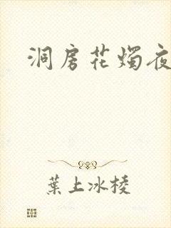 洞房花烛夜小说