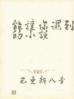 能让你湿到不行的小说