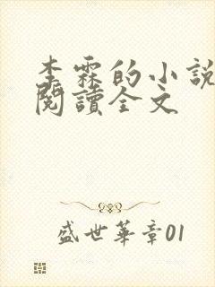 李霖的小说免费阅读全文