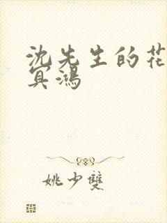 沈先生的花式调冥鸿