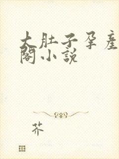 大肚子孕产笔趣阁小说