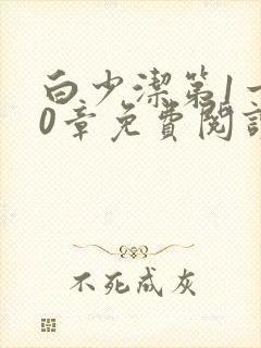 白少洁第1一40章免费阅读