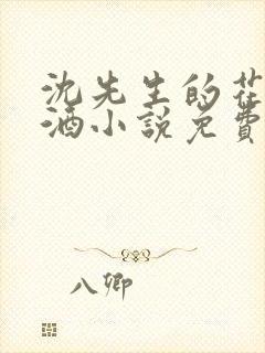 沈先生的花式调酒小说免费阅读