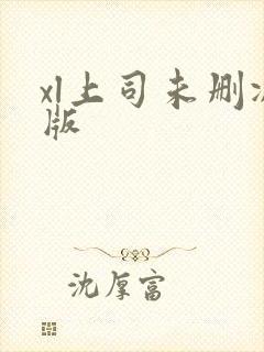 xl上司未删减版