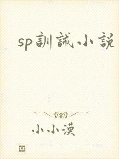 sp训诫小说