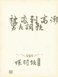 被脔到高潮的直男h调教