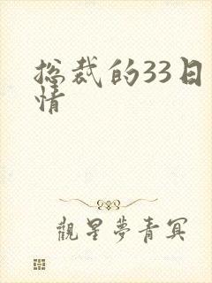 总裁的33日索情