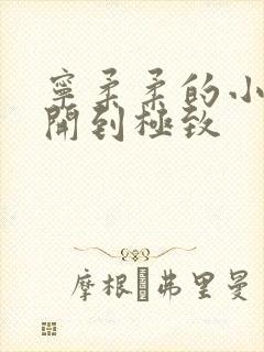 宁柔柔的小泬撑开到极致