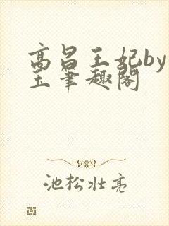 高昌王妃by黛玉笔趣阁