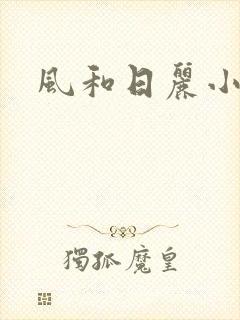 风和日丽小说