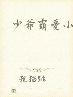 少爷霸爱小丫头