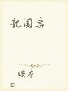 龙图案