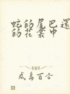 蛇的尾巴还在我的花丛中