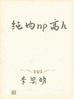纯肉np高h