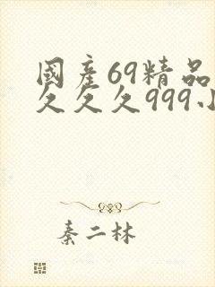 国产69精品久久久久999小说