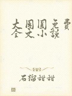 大团圆免费阅读全文小说