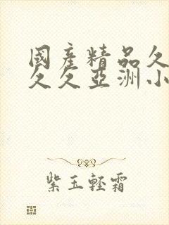 国产精品久久久久久亚洲小说