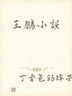 王鹏小说
