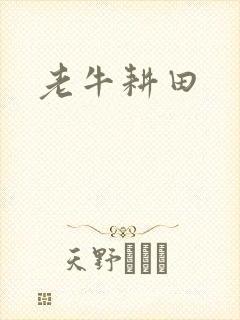 老牛耕田