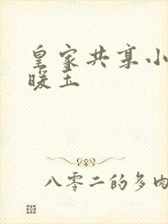 皇家共享小公主暖玉