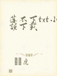 落不下txt小说下载