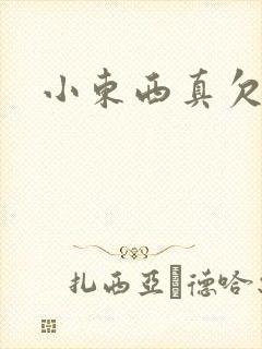 小东西真欠弄