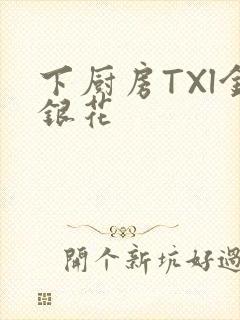 下厨房TXl金银花