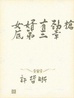 女婿有劲枪枪到底第三章