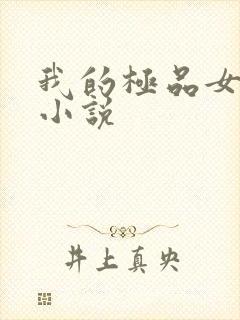 我的极品女老师小说