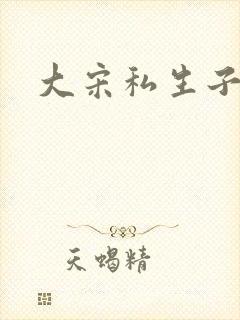 大宋私生子
