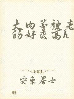 大肉蒂被老头嘬的好爽高h