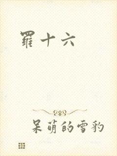 罗十六