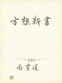 方想新书