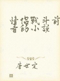 情侣战斗前适合看的小说