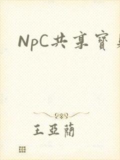 NpC共享宝贝