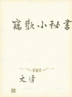 窃欢小秘书
