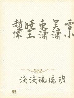 赵晓东吴雪晴郑伟王潇潇小说