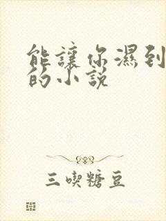 能让你湿到不行的小说