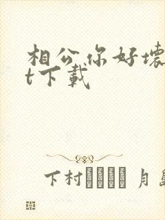 相公你好坏txt下载