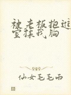 被老板抱进办公室揉我胸