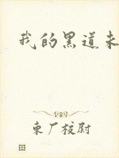 我的黑道未婚夫