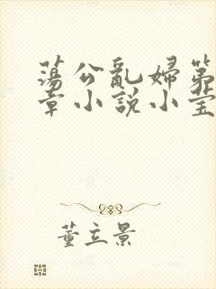 荡公乱妇第51章小说小莹