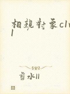 相亲对象c1v1